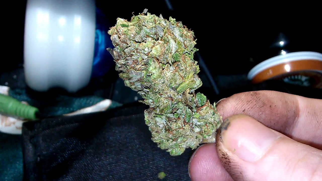 Sour D -Strain Review *WEED PORN*