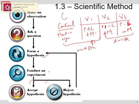Ch 1.3 Scientific Method - YouTube