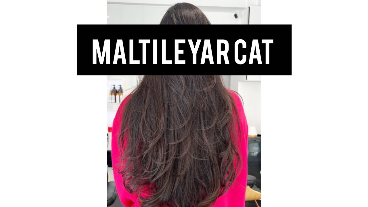 Malti leyar cat #parlour #hair cutting#customer service#training#😱😱😱😱