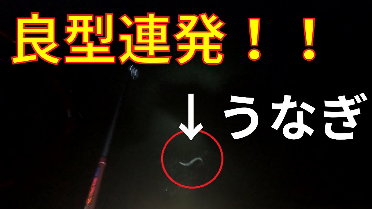 多摩川うなぎ釣り 雨上がりに河口でうなぎ爆釣 動画あり ツリラボ 多摩川うなぎ釣り 雨上がりに河口でうなぎ爆釣 動画あり ツリラボ