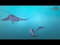 Dive Trailer by Attraktion!