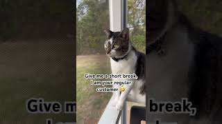 Dear problems #shorts