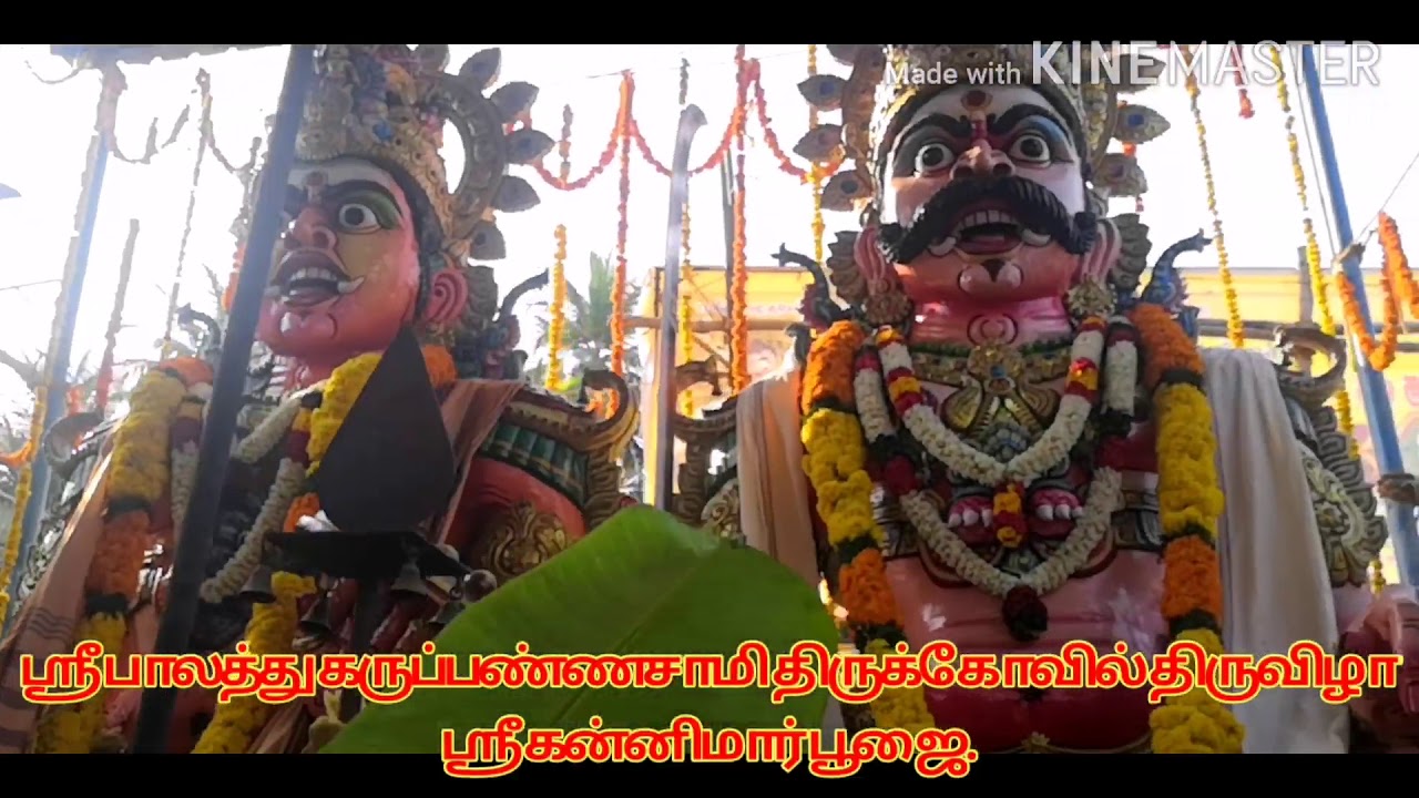 ஸ்ரீ பாலத்து கருப்பண்ணசாமி திருக்கோவில் திருவிழா 2020. ஸ்ரீ கன்னிமார் பூஜை