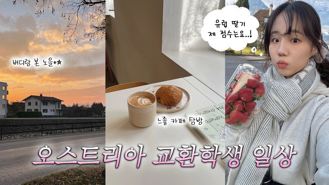 [🇦🇹오스트리아 교환학생 VLOG] 버디와 첫 만남👩🏻‍🤝‍👩🏼느좋 카페 탐방, 캠퍼스 투어, 요리 해먹기