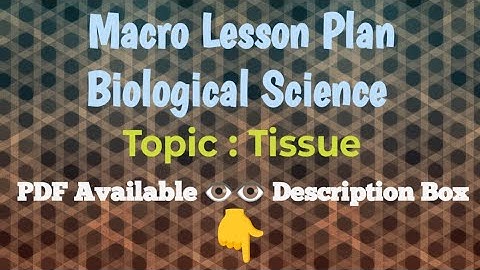 Biological Science/Macro Lesson Plan/Topic-Tissues/Class-7th/B.Ed./pdf available