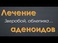 Как лечить аденоиды народными средствами