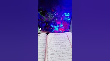 تلاوات قرأنية تريح القلب حالات واتس