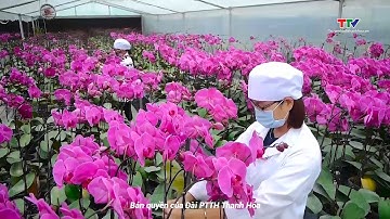 Đưa Nghị quyết vào cuộc sống: Quy hoạch sản xuất nông nghiệp công nghệ cao theo hướng bền vững.