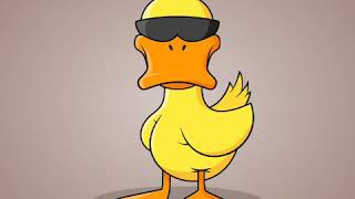 An Ducks Watches \ An Ducks Watches \