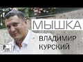 Владимир Курский - Мышка (Альбом 2015)