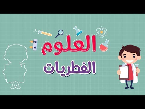 فيديو: ما هي بعض الاستخدامات المفيدة للفطريات؟