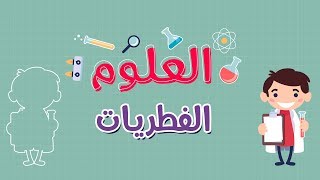 العلوم |الفطريات