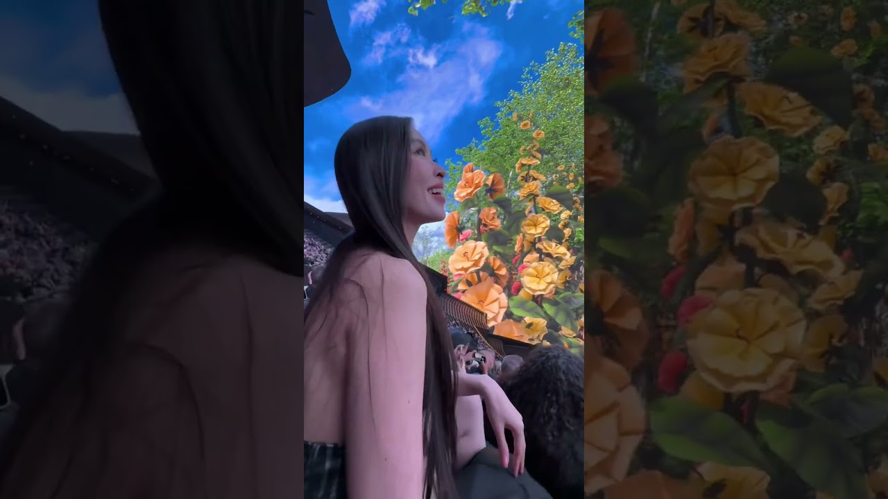 រោងកុននៅអាមេរិកកាន់តែខ្លាំងដៃហើយ