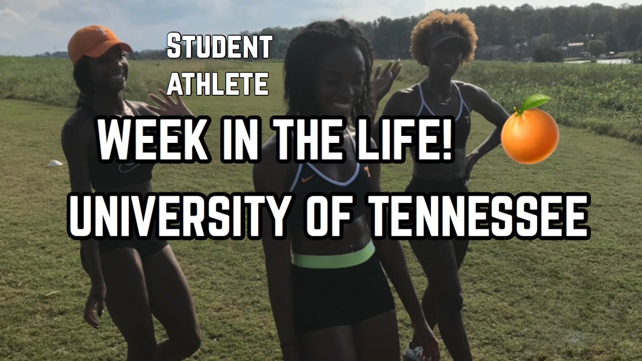 Week In The Life Day 1 D1 Student Athlete University Of Tennessee week-in-the-life-day-1-d1-student-athlete-university-of-tennessee