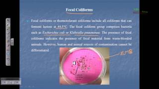 Indicator organism (fecal coliform, total coliform)