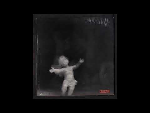 Butthole Surfers - Negro Observer