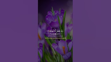 پیامبر ﷺ فرمودند:  «هرکس سوره کهف را در روز جمعه بخواند، نوری میان او و جمعه بعد می‌تابد.»