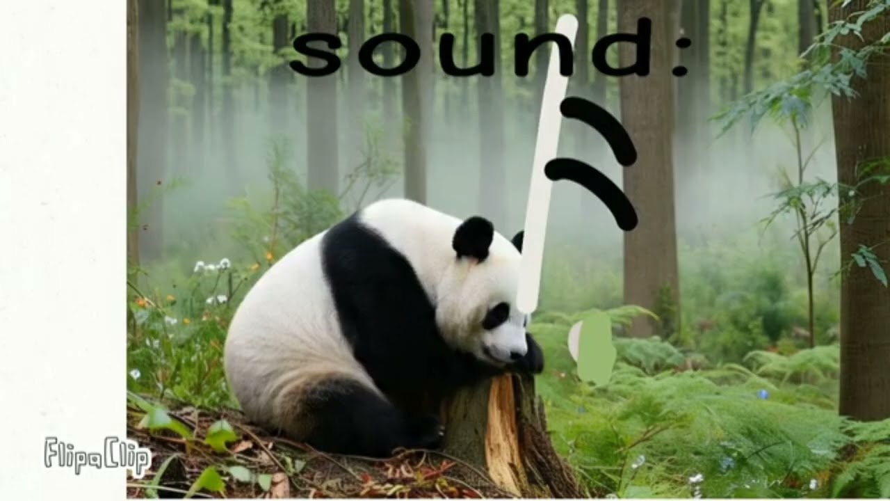 Panda note extended for @william_resto