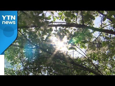 [날씨] 벌써 여름? 서울 28℃...오존·자외선 주의 / YTN
