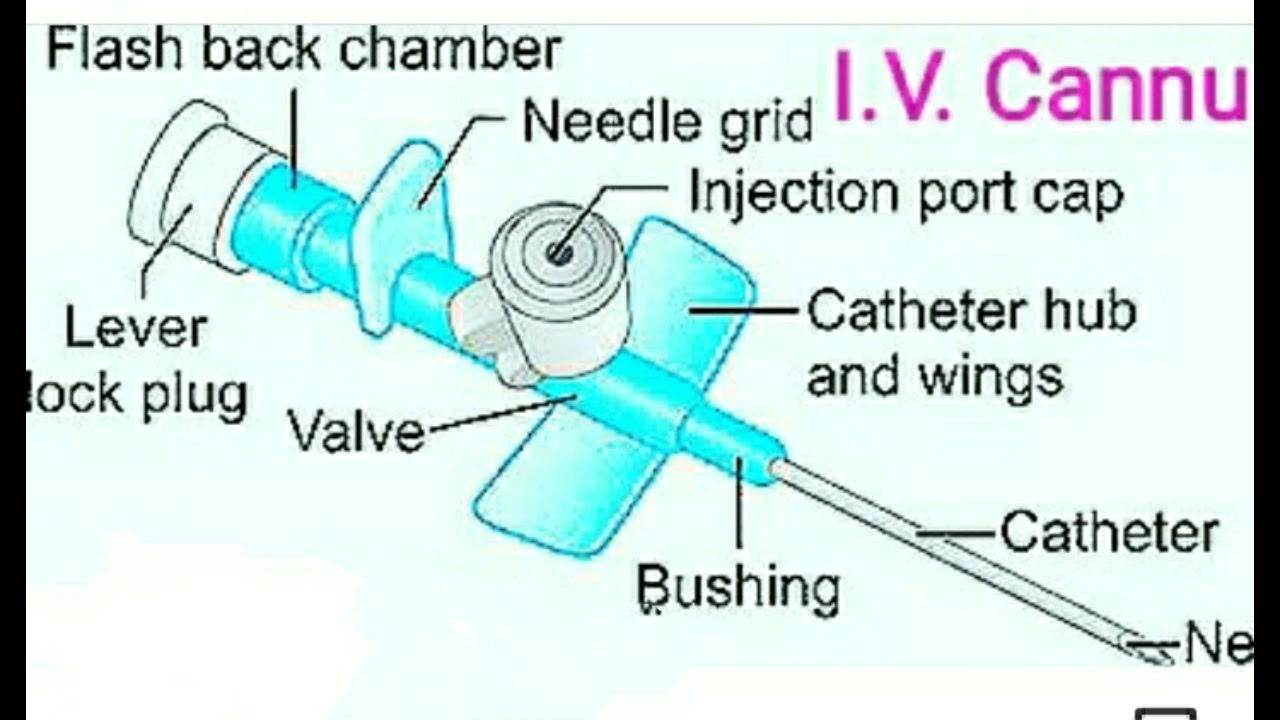 I.V.Cannula Parts Name - YouTube