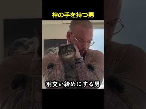 神の手を持つ男