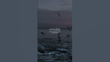 وقالوا اتخذ الرحمن ولدا||حالات واتس قرآن || تلاوة#محمود_خليل_الحصري