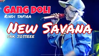 Download lagu Gang Doli Rindi Safira New Savana Sakjosee mp3