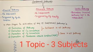 Complement System Part-1