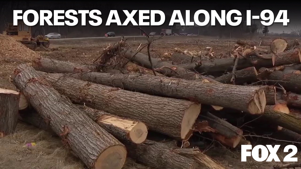 Why Michigan clear-cut forests to rebuild I-94 in Metro Detroit