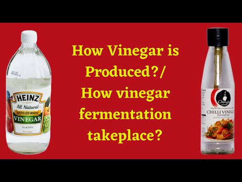 Vinegar Production Process/ How vinegar fermentation takeplace?