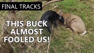 This Buck Almost Fooled Us! - The Callie Chronicles