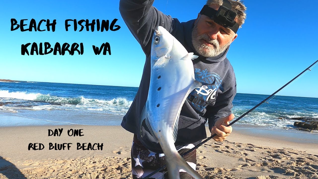 Beach Fishing in Kalbarri WA. Day One Red Bluff Beach YouTube