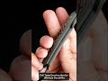 NedFoss RAVEN – Precision and Durability in a Compact Blade