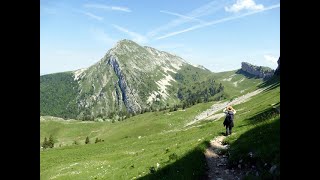 Chartreuse Boucle col de la Grande Vache, Hurthières, Prairie de Vararey 2023 06 15