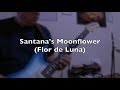 Carlos santanas moonflower flor de luna cover by rick mccargar