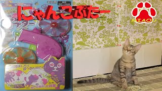 The Ultimate Cat Toy：Funny and Cute Leo