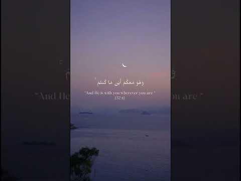 Stop Where It Feels Right, Find Your Islamic Reminder #islamicreminder #allah #quran #islamistics