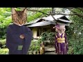 任侠恋ねこ物語