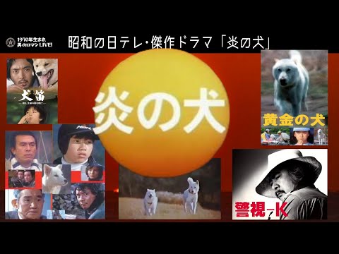 ｢炎の犬｣｢黄金の犬｣そして｢警視-K｣日テレ傑作ドラマ