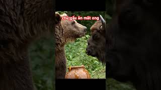 Ch Gu n Mt Ong cartoon topgamedoithuonguytin phuongyoutuber37funny