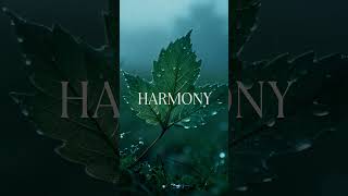Calm Harmony | Спокойная Гармония