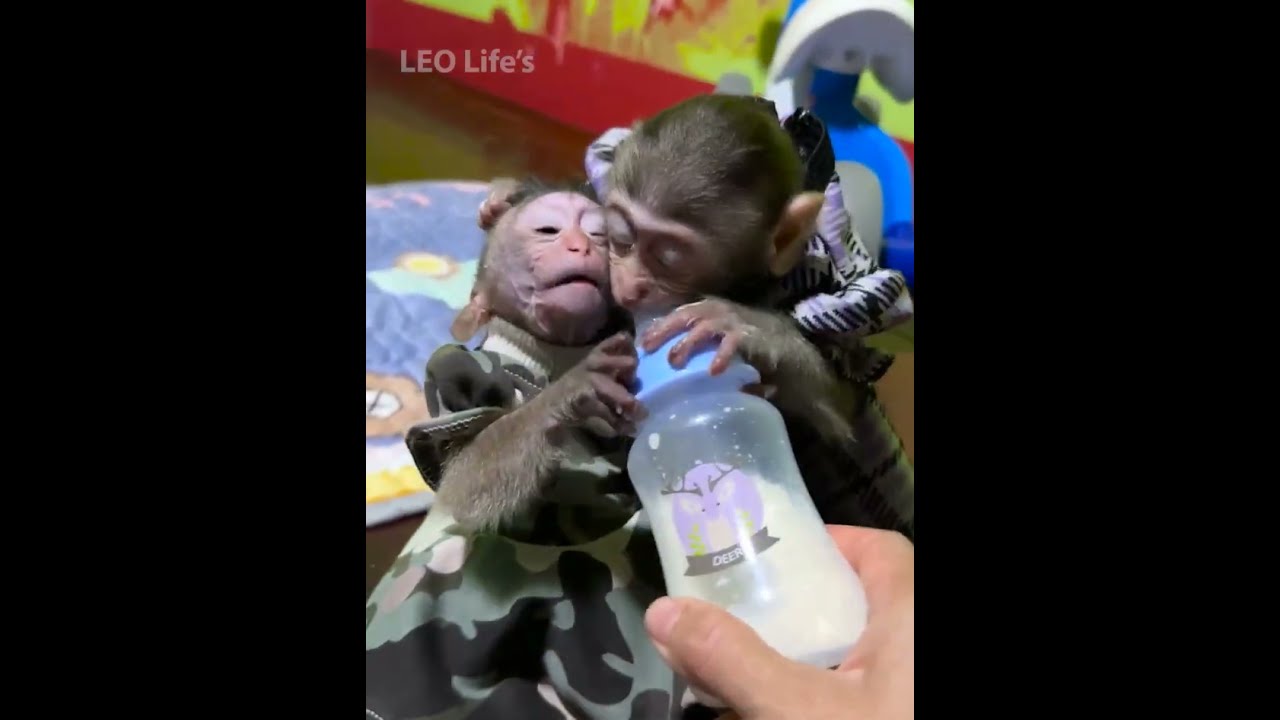 Mora need milk  😍😍❤️❤️