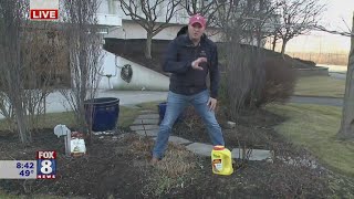 AJ Petitti says Spring Cleanup starts with a 'rake'