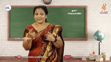 First Bell 2.0 STD 07 Social Science Class 17