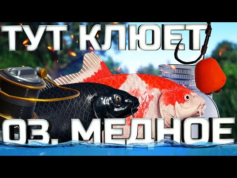 Видео: ЛУЧШИЕ ТОЧКИ НА МЕДНОМ ОЗЕРЕ ДЛЯ ФАРМА СЕРЕБРА И ПРОКАЧКИ ОПЫТА!