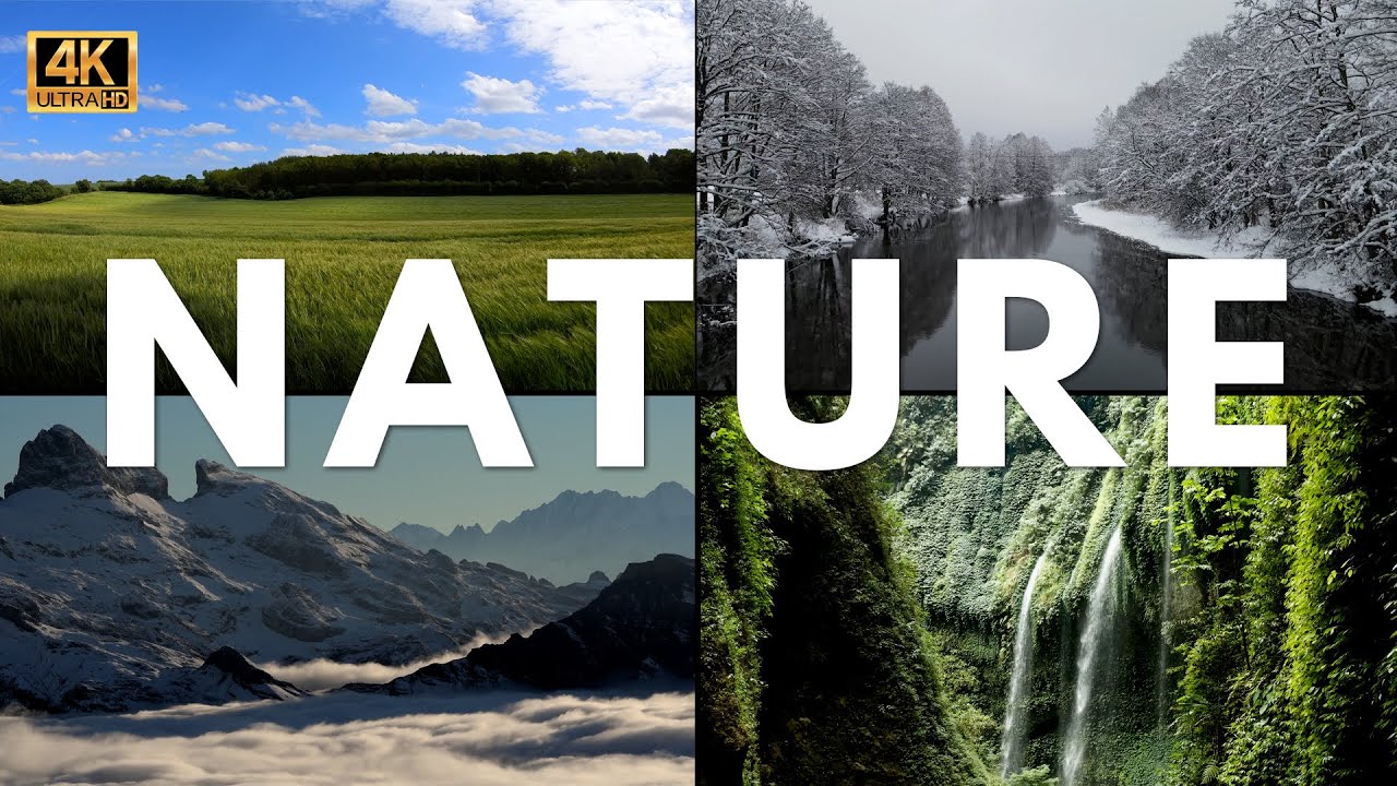 Nature Stock Video| Mountains, Waterfall, River, Ocean | 4K Free Stock ...