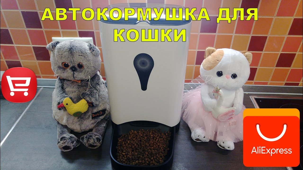 АВТОКОРМУШКА ДЛЯ КОШЕК АЛИЭКСПРЕСС - YouTube