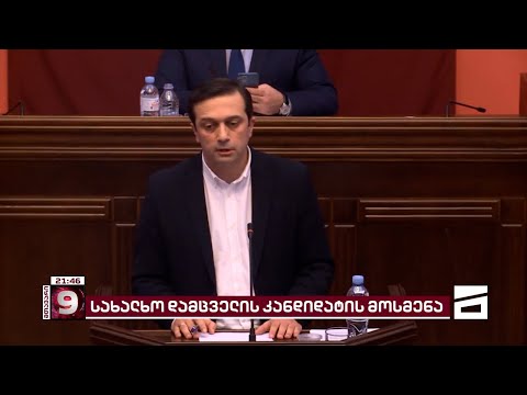 რუსული კანონი და ნიკა გვარამიას საქმე | ომბუდსმენობის კანდიდატ ლევან იოსელიანს პარლამენტში მოუსმინეს