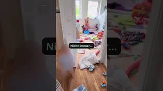 Chaos garantiert - und zwischendurch auch mal Spaß 😁😆 #familienchaos