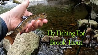 Fly Fishing for Brook Trout in Small Streams